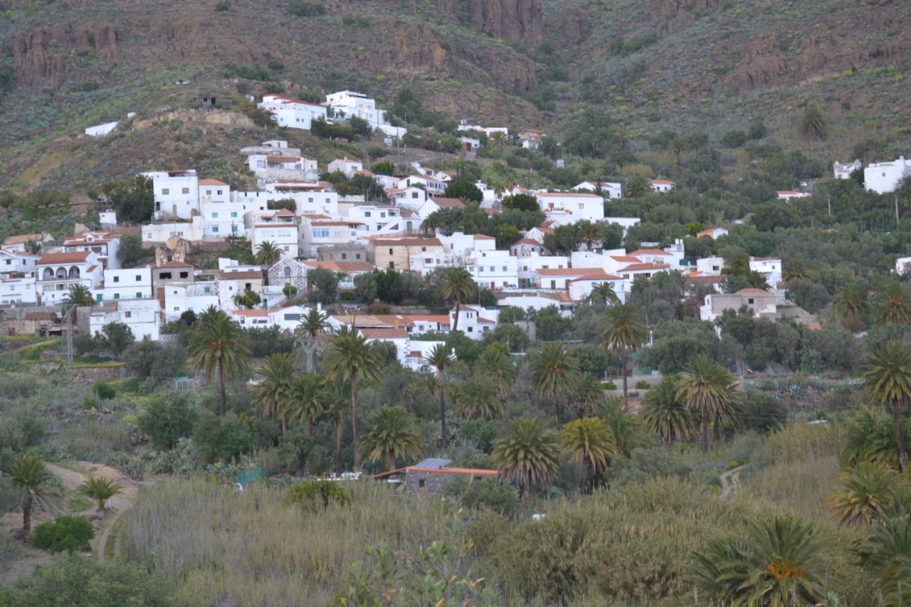 Las Palmeras Temisas Exteriér fotografie
