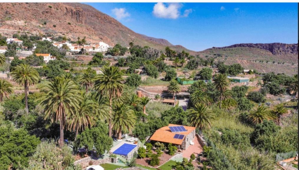 Las Palmeras Temisas Exteriér fotografie
